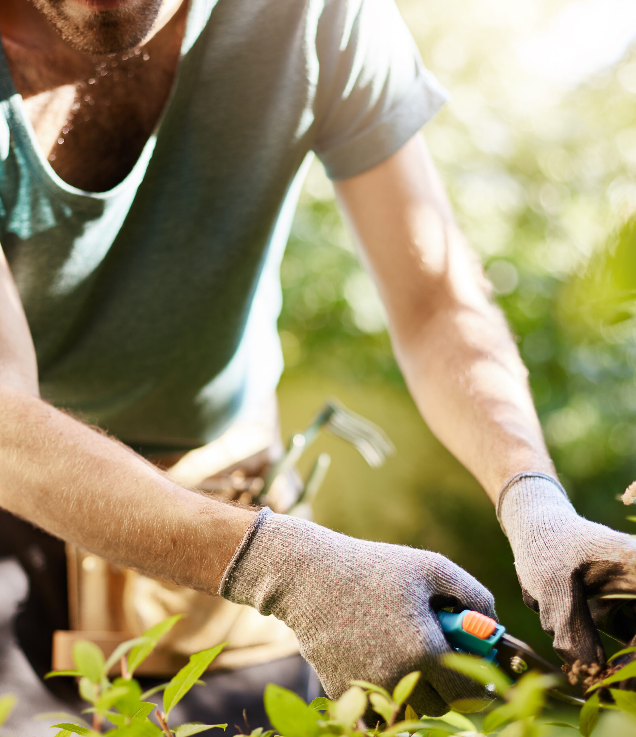 Close up of strong man in gloves cutting leaves in his garden. Farmer spending summer morning working in garden near countryside house.
